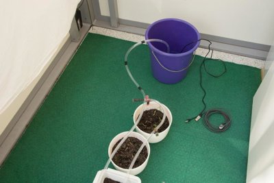 eine automatische Bewässerungsanlage für Balkonpflanzen
